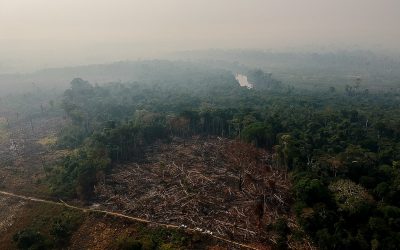 Do combate ao desmatamento ilegal à crítica da ideia de intocabilidade da Amazônia: os planos dos candidatos ao governo do Acre