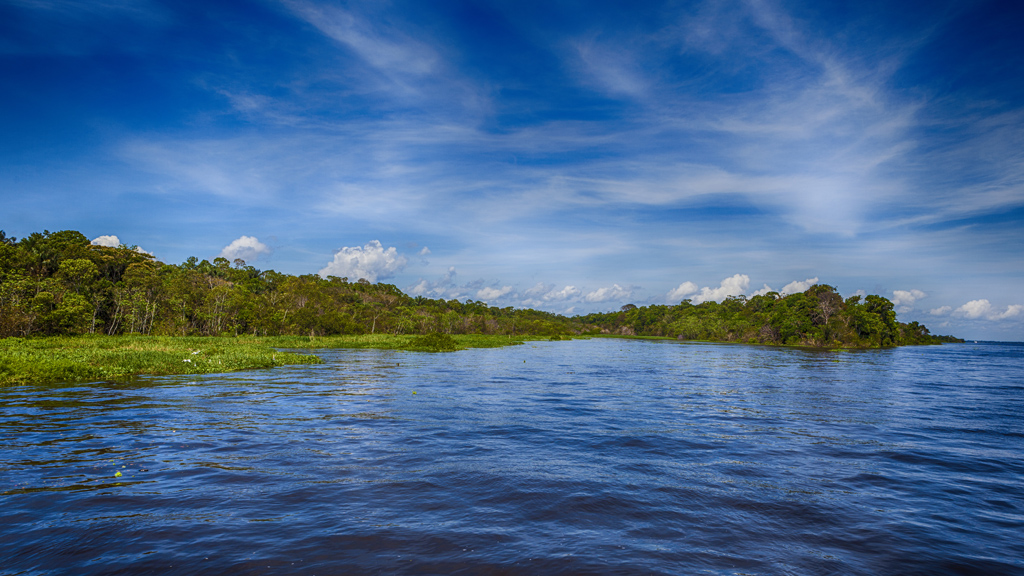 O “centro do mundo” às margens: a Amazônia na disputa presidencial 2022