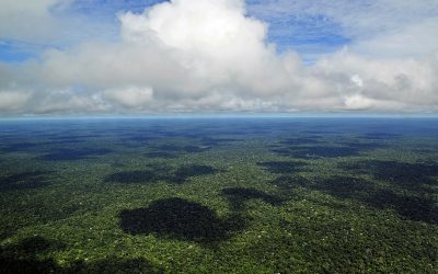 A pauta ambiental na disputa pelo Governo do Amapá