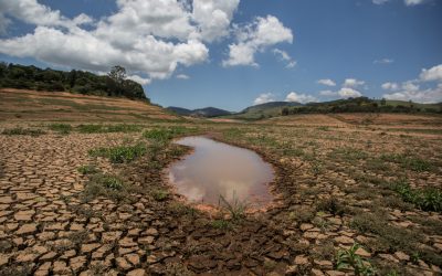 O futuro climático do planeta: o que o projeto autocrático de Bolsonaro tem a ver com isso?